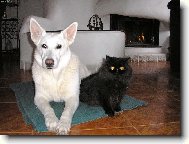 vždycky jsme však nebyli přátelé