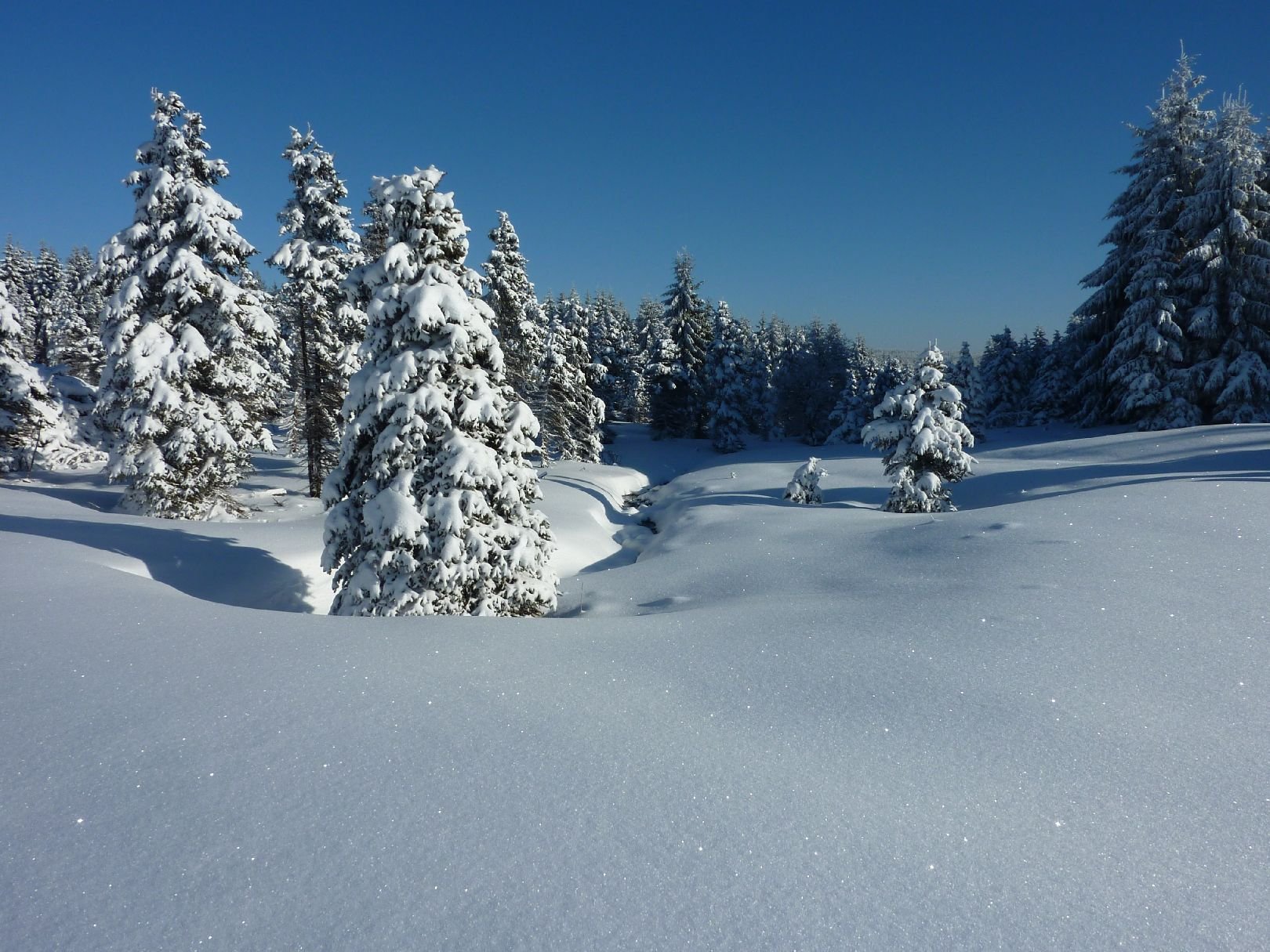 Foto: poslední záchvěv zimy 2