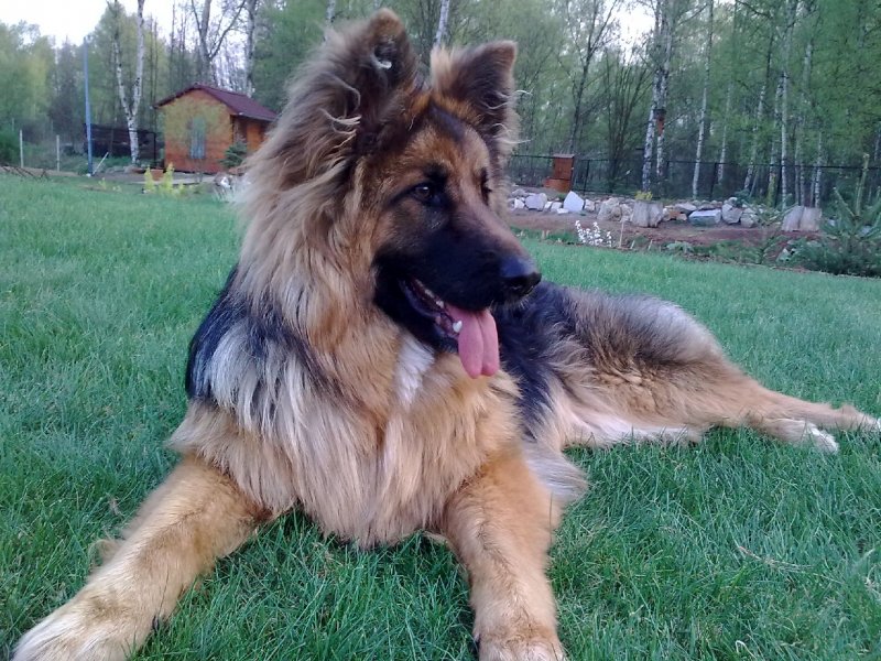 Foto: Dixinka 9měsíců