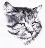 Chovatelska stanice ps�: Z MOSTU, CZ