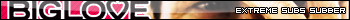 Vce userbar ke staen